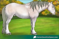 Horse Color:Watercolor Amber Champagne Pearl Onyx Sabino Tobiano Frame