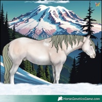 Horse Color:Watercolor Amber Champagne Pearl Onyx Sabino Tobiano Frame