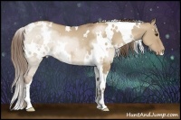 Horse Color:White Spotted Grullo Pearl