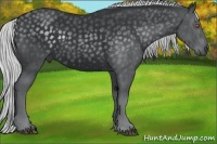 Horse Color:Silver Black Chinchilla 