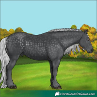Horse Color:Silver Black Chinchilla