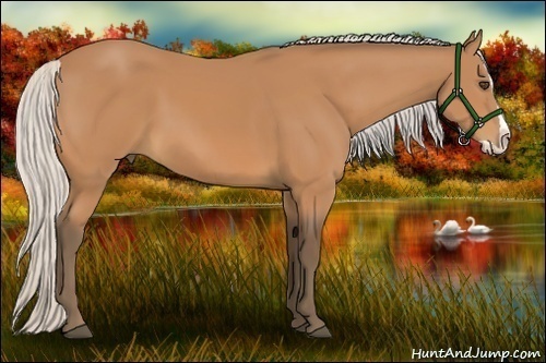 Horse Color:Silver Bay Splash 