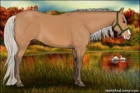 Horse Color:Silver Bay Splash 