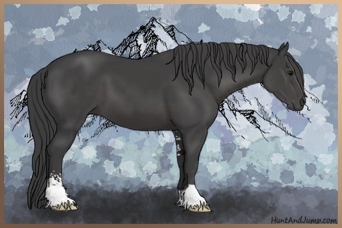 Horse Color:Smoky Black Sabino