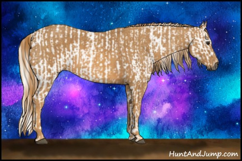 Horse Color:Gray Chestnut Splash Frame Brindle