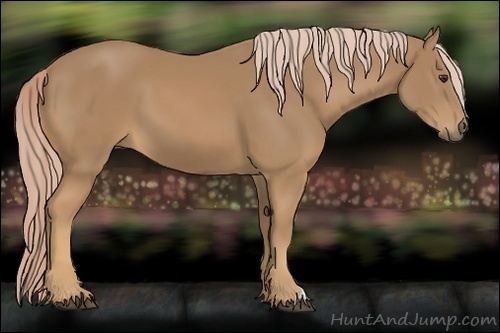 Horse Color:Palomino 