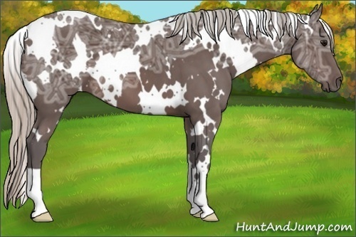 Horse Color:White Spotted Silver Brown Ice