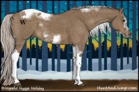 Horse Color:Silver Brown Dun Sabino Tobiano Frame Rabicano