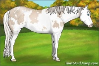 Horse Color:White Spotted Chocolate Palomino Pearl Splash 