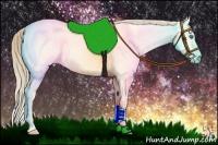 Horse Color:Perlino Dun 