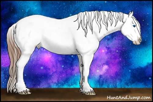 Horse Color:Red Dun Roan Splash Frame Appaloosa Rabicano 