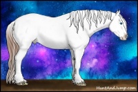 Horse Color:Red Dun Roan Splash Frame Appaloosa Rabicano 