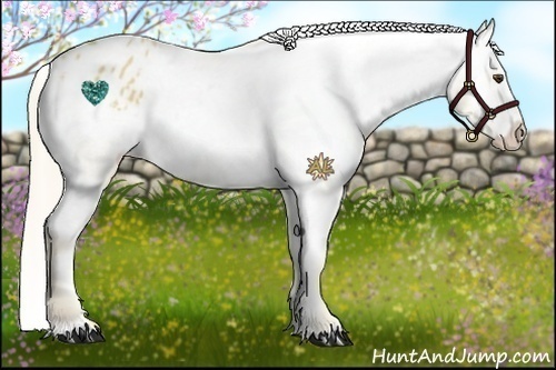 Horse Color:Palomino Varnish