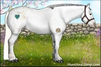 Horse Color:Palomino Varnish 