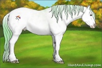 Horse Color:Watercolor Liver Red Dun Ice Splash Appaloosa