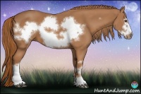 Horse Color:Chestnut Frame 