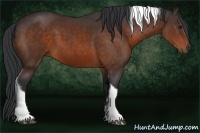 Horse Color:Bay Tobiano 