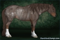 Horse Color:Liver Chestnut Rabicano 