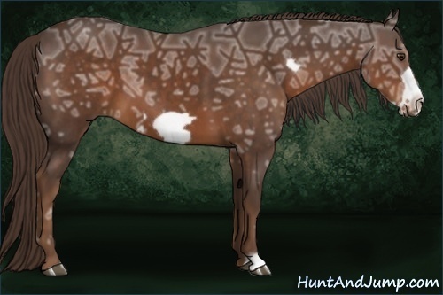 Horse Color:Liver Chestnut Ice Frame 
