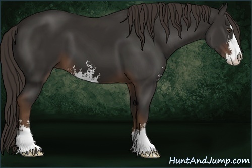 Horse Color:Liver Chestnut Sabino 