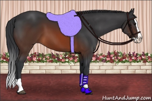 Horse Color:Brown Splash 