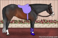 Horse Color:Brown Splash 