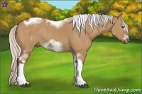 Horse Color:Silver Bay Dun Sabino Tobiano Frame Rabicano