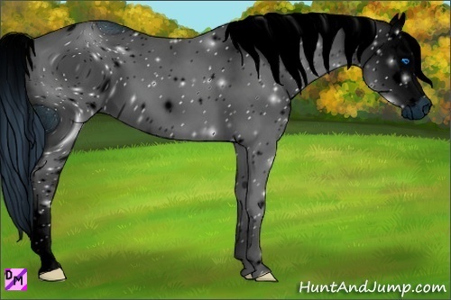 Horse Color:ERROR: UNKNOWN ANOMALY