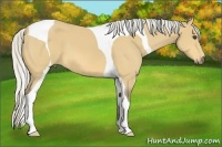 Horse Color:Silver Buckskin Sabino Tobiano