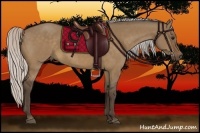 Horse Color:Silver Bay Dun