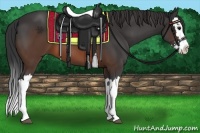 Horse Color:Brown Splash