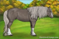 Horse Color:Silver Black 
