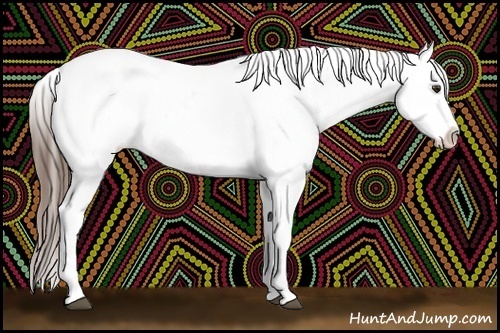 Horse Color:Liver Chestnut Sabino Varnish Rabicano