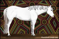 Horse Color:Liver Chestnut Sabino Varnish Rabicano 