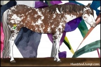 Horse Color:Liver Chestnut Sabino 