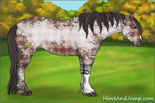 Horse Color:Plaid  Bay Ice 