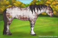 Horse Color:Plaid  Bay Ice 