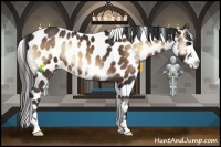 Horse Color:Bay Onyx Frame Appaloosa 