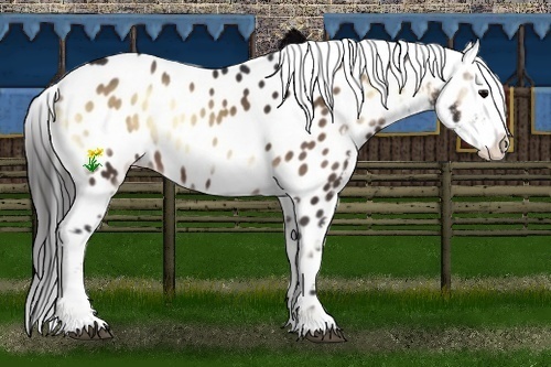 Horse Color:Brown Onyx Near Leopard 