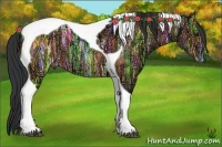 Horse Color:Bay Ice Dun Tobiano 