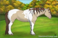 Horse Color:Classic Cream Champagne Dun Tobiano