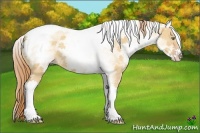 Horse Color:White Spotted Gold Champagne Dun Tobiano 