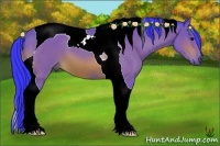 Horse Color:Watercolor Bay Tobiano 