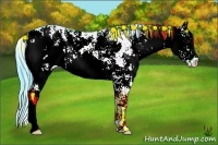 Horse Color:Watercolor Bay Dun Sabino 