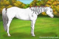 Horse Color:Liver Chestnut Sabino