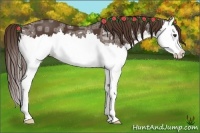 Horse Color:Liver Chestnut Ice Splash 