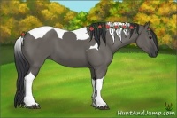 Horse Color:Grullo Tobiano