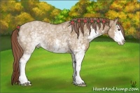 Horse Color:White Spotted Red Dun Sabino