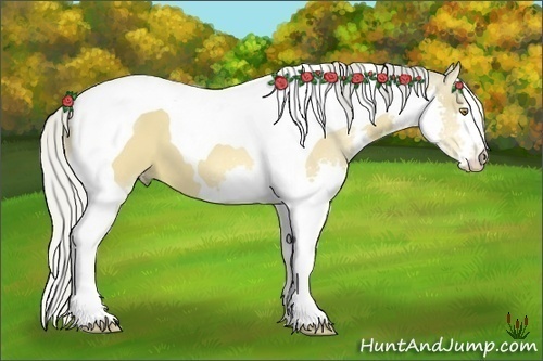 Horse Color:Silver Buckskin Dun Splash Tobiano 