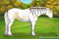 Horse Color:Silver Buckskin Dun Splash Tobiano